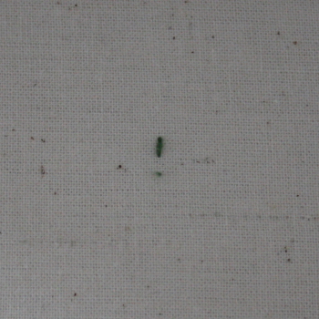 Back Stitch 3