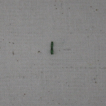 Back Stitch 6