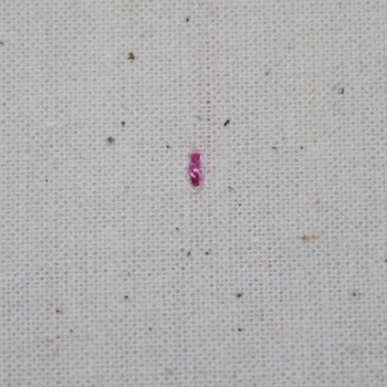 Broad Chain Stitch 3