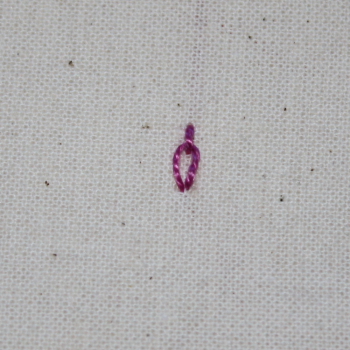 Broad Chain Stitch 9