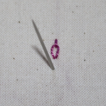 Broad Chain Stitch 10